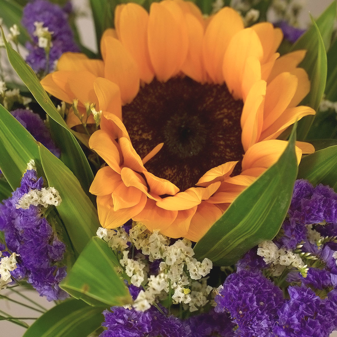 Purple Sunshine - Image 2