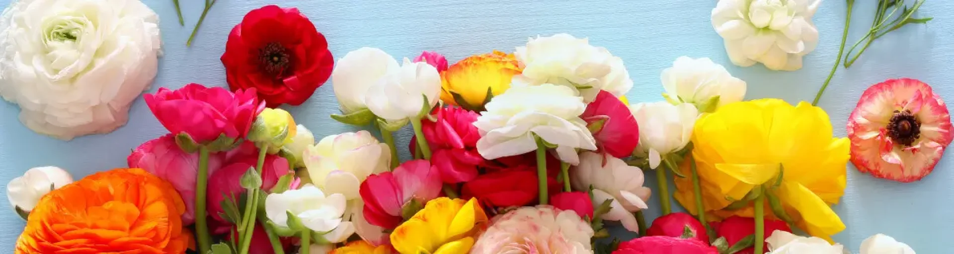 67cbe335-3495-47df-8f34-4401c6a823c7